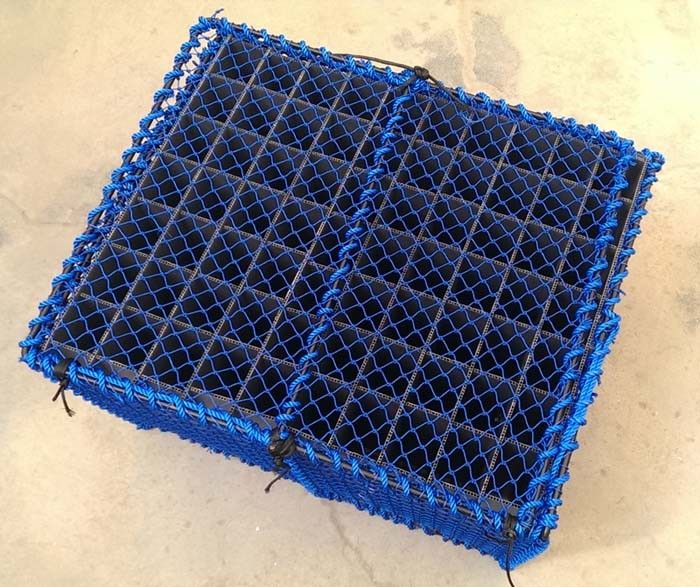 Sanketeine til Kreps