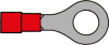 Ringsko